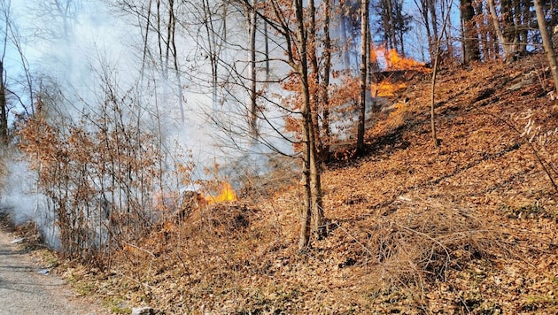 (Bild: zVg/ BF Klagenfurt)