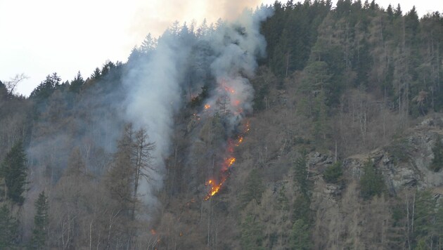 (Bild: Feuerwehr/Horn)