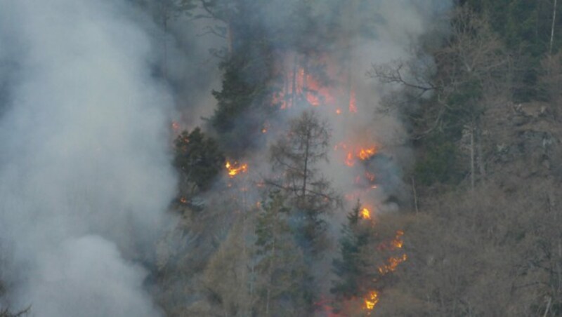 (Bild: Feuerwehr Horn)