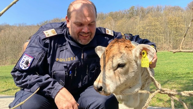 Tierischer Einsatz in Linz, der offenbar Freude machte (Bild: Polizei OÖ)