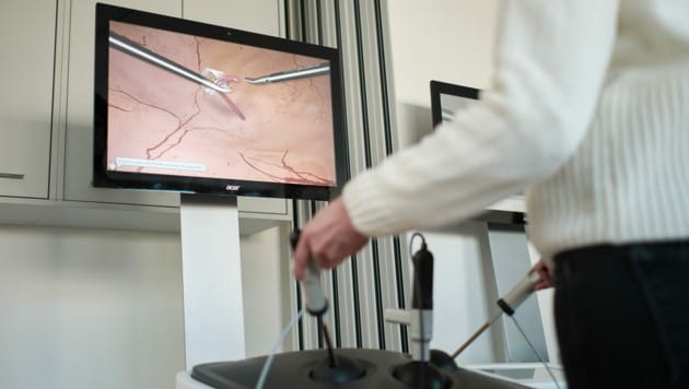 Greifübungen am Simulator. (Bild: Philipp Monihart)