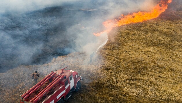 Brände in der Region Tschernobyl (Bild: AFP/Volodymyr Shuvayev)