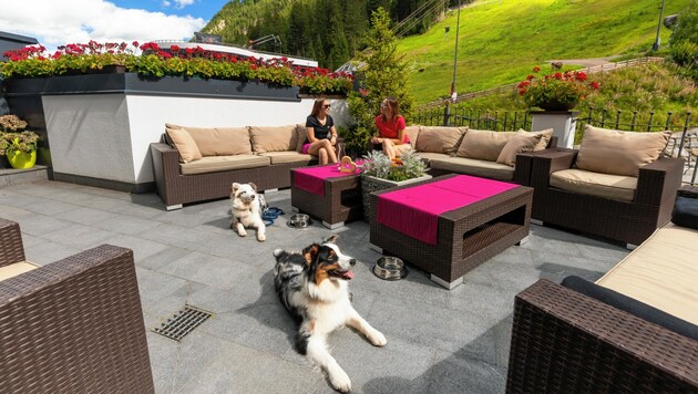 Auch das Hotel Fliana in Ischgl wurde für seine Freundlichkeit zu den Vierbeiner mit einem Award ausgezeichnet. (Bild: Rossner Photographie)