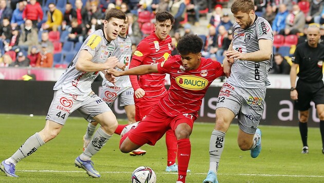 Luka Lochoshvili (li.) und Dominik Baumgartner (re.) (Bild: APA/KRUGFOTO/DANIEL KRUG)