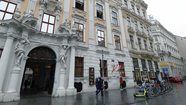 Vor den Toren des Palais Kinsky starb der kleine Malteser. (Bild: Klemens Groh)