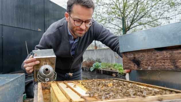 „Bienenlieb“-Imker Daniel Pfeifenberger muss seine geschwächten Bienen derzeit zufüttern (Bild: Tschepp Markus)