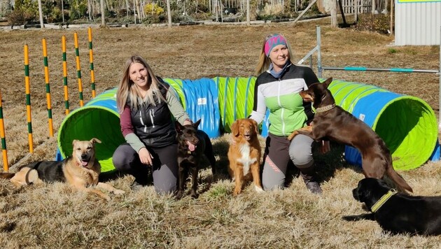 Manuela und Gloria nehmen mit ihren Hunden erfolgreich an Agilityturnieren teil. (Bild: zVg)