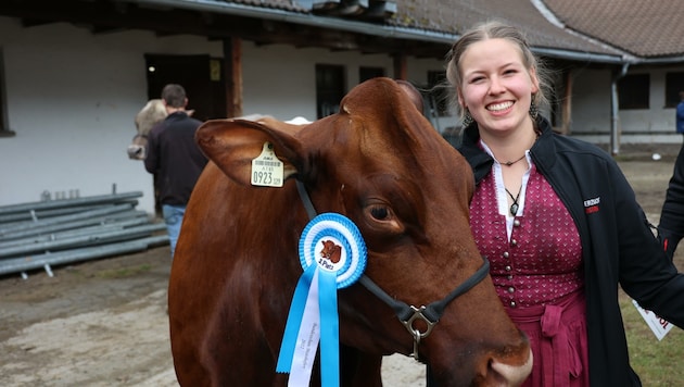 Aus Fleckvieh, Pinzgauer, Holstein, Jersey und Brown Swiss wurden in Maishofen zum 101. Jubiläum die Gewinner-Kühe gewählt. Die Veranstaltung zieht jährlich Gäste aus ganz Österreich an. (Bild: Hölzl Roland)