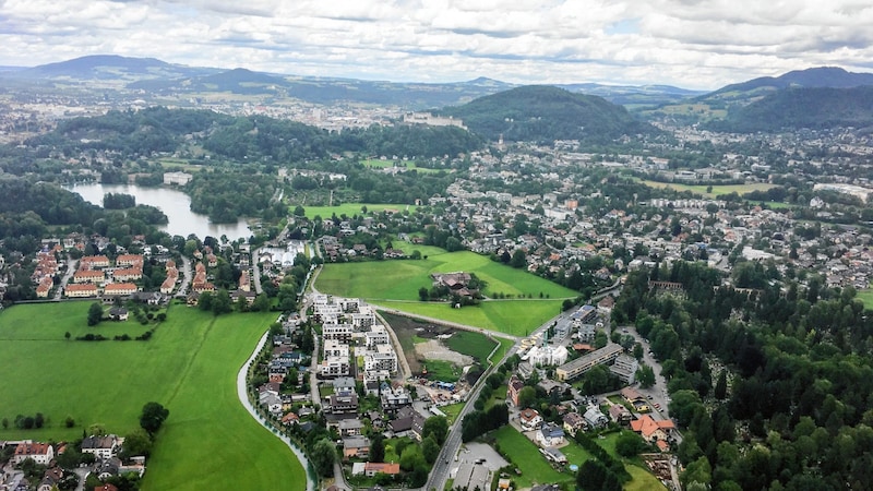 The protection of meadows and forests is a major concern - one factor here is the massive increase in building development. (Bild: Melanie Hutter)