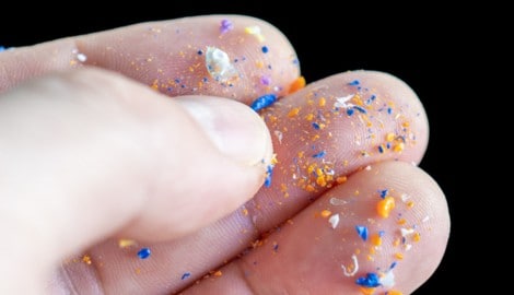 Die langfristigen Auswirkungen von Mikroplastik auf den Menschen sind noch weitgehend unklar. ...