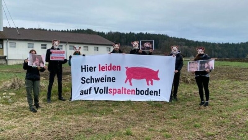 Der VGT setzte sich heute erneut gegen Tierfabriken und Tierquälerei ein. (Bild: Peter Kleinrath)