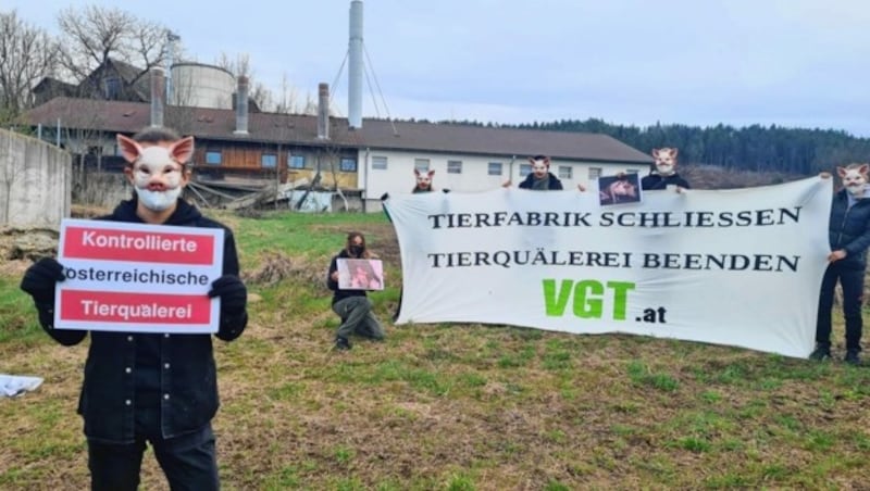 Der Verein gegen Tierfabriken zeigte die Missstände auf. (Bild: VGT.at)