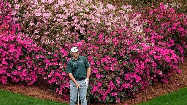 Straka vor der Blütenpracht Augustas (Bild: 2022 Getty Images)