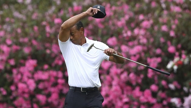Tiger Woods vor der Blütenpracht Augustas (Bild: Atlanta Journal-Constitution)