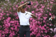 Tiger Woods vor der Blütenpracht Augustas (Bild: Atlanta Journal-Constitution)