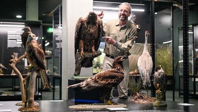 Stephan Weigl in der gut bestückten Vogelschau (Bild: Alexander Schwarzl)