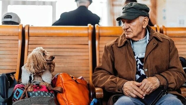 Hund und Herrl kommen am Bahnhof ohne Worte aus. (Bild: Katharina Pirker)