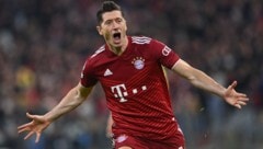 Robert Lewandowski (Bild: APA/AFP/CHRISTOF STACHE)