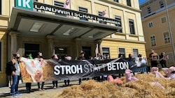 Am Donnerstag haben Aktivisten vor der Landwirtschaftskammer gegen Schweinehaltung am Vollspaltenboden demonstriert (Bild: Peter Kleinrath)