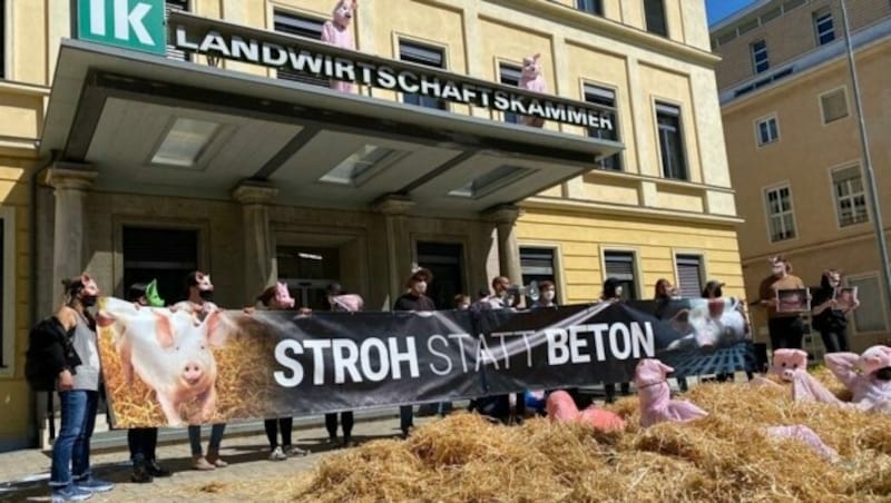 Der Protest vor der Landwirtschaftskammer war unangemeldet. Was ist dann dort passiert? (Bild: Peter Kleinrath)