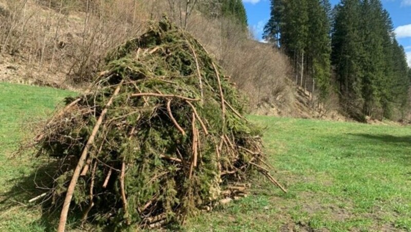 So sieht ein Osterhaufen aus, bevor er entzündet wird. (Bild: Steiner)