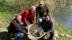 10.000 kleine Nasen für die Leitha bei Bruckneudorf: Die Fischer schauen auf die Artenvielfalt. (Bild: Landesfischereiverband Burgenland)