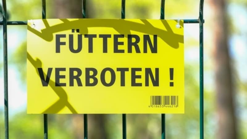 Hinweistafeln, welche Besucher über das richtige Füttern aufklären sollen, wurden nun durch „Füttern verboten!“-Schilder ersetzt. (Bild: Einöder Horst)