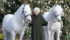 Queen Elizabeth II. steht zwischen den schneeweißen Ponys „Bybeck Katie“ und „Bybeck Nightingale“. (Bild: APA/Henry Dallal/ROYAL WINDSOR HORSE SHOW/AFP)