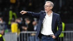 Voll fokussiert auf Meistertitel und Aufstieg: Admiras Sportdirektor Peter Stöger. (Bild: Kronen Zeitung)