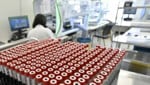 Das Wiener Großlabor Lifebrain, das die PCR-Tests im Rahmen der Initiative „Alles gurgelt“ auswertet. (Bild: APA/Hans Punz)