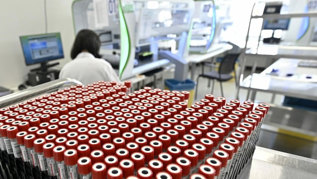 Das Wiener Großlabor Lifebrain, das die PCR-Tests im Rahmen der Initiative „Alles gurgelt“ auswertet (Bild: APA/Hans Punz)