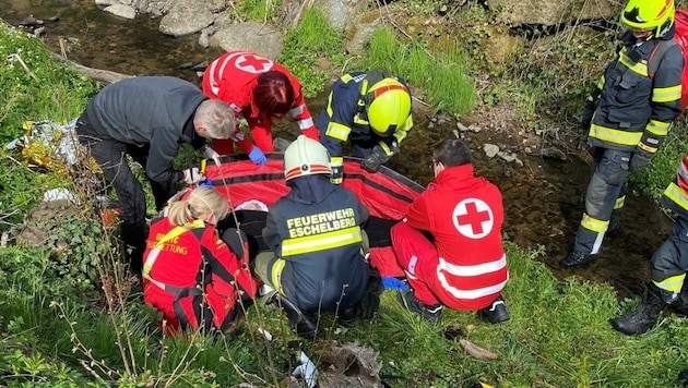 Um das schwer verletzte Zugopfer in St. Gotthard schonend zu bergen, wurde es per Taubergung aus dem Graben neben der Bahnstrecke geflogen. (Bild: Picasa)