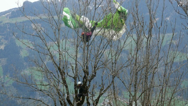 Die Hippach-Paragleiterin landete in Baum. (Bild: zoom.tirol)