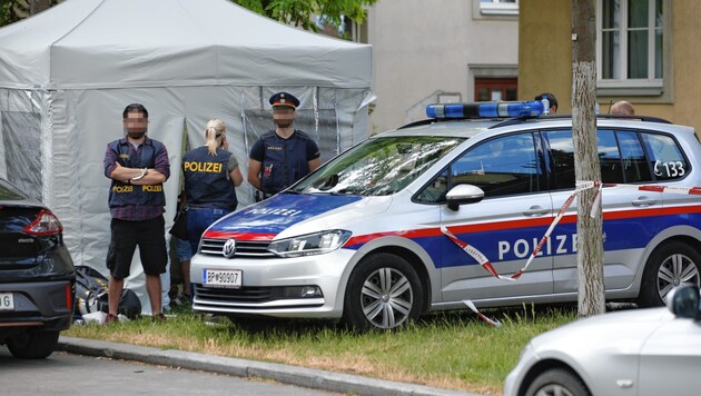 Die 13-jährige Leonie starb im Juni 2021. (Bild: Reinhard Holl, Krone KREATIV)