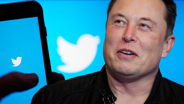 Seit der Tech-Milliardär Musk Twitter gekauft hat, geht es dort drunter und drüber. (Bild: AP, Krone KREATIV)