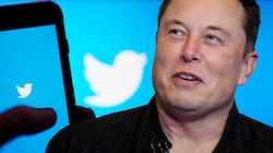 Elon Musk zeigte sich "zutiefst erfreut" über den Freispruch. (Bild: AP, Krone KREATIV)