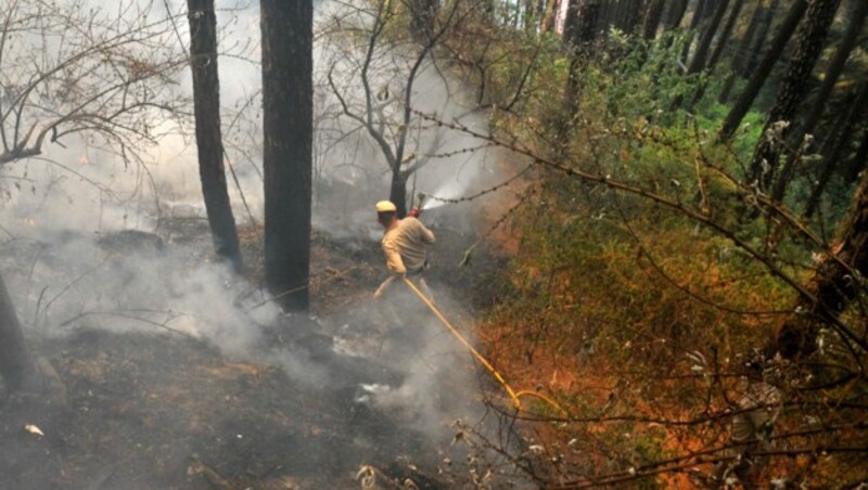 Feuerwehrmann beim Löschen eines Waldbrands (Bild: AFP)