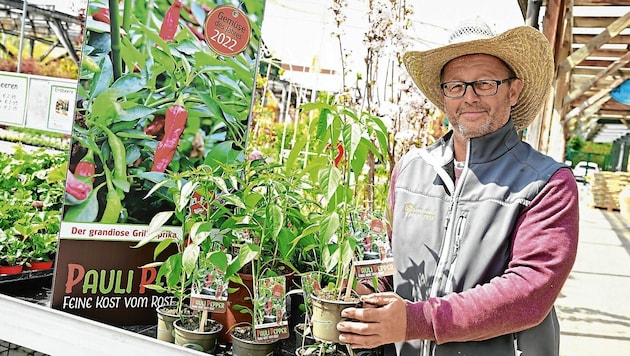 Die Paprika „Pauli Pepper“ ist das Gemüse des Jahres. Erhältlich ist dieses Fruchtgemüse auch in der Gartenwelt Kropfitsch. (Bild: EVELYN HRONEK)