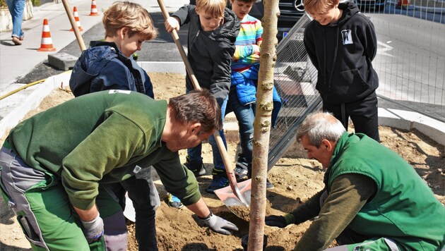 Die fleißgen Burschen pflanzen einen Baum in der Jörgerstraße. (Bild: BV18)