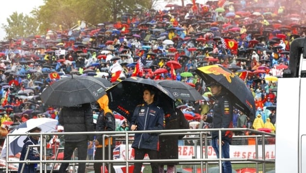 Desde 2007, Kirchtag fabrica paraguas para estrellas de Red Bull y Fórmula 1 como Vettel y Verstappen (derecha) (Imagen: DIENER/HOCH ZWEI)