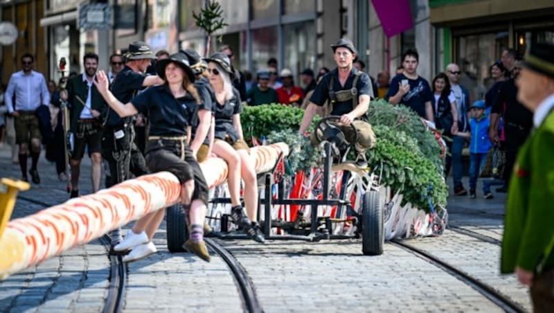 Die „Schaunburgteufeln“ chauffierten den Maibaum zum Hauptplatz (Bild: Alexander Schwarzl)