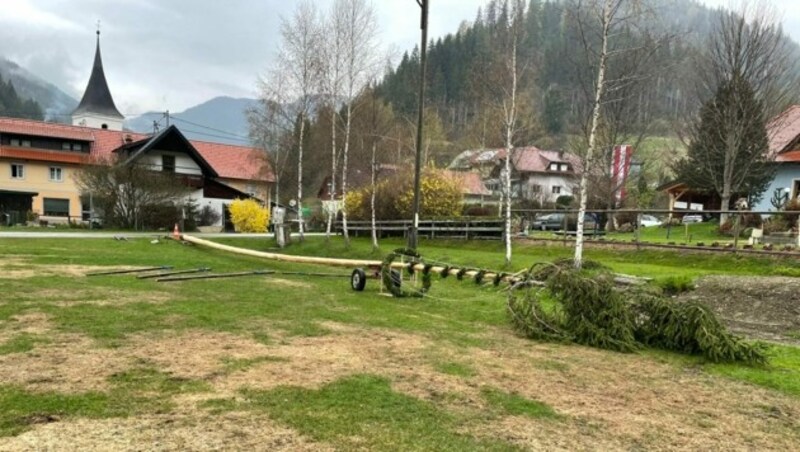 Der Maibaum der Dorfgemeinschaft Ingolsthal ist 30 Meter hoch. (Bild: Hannes Mößlacher)