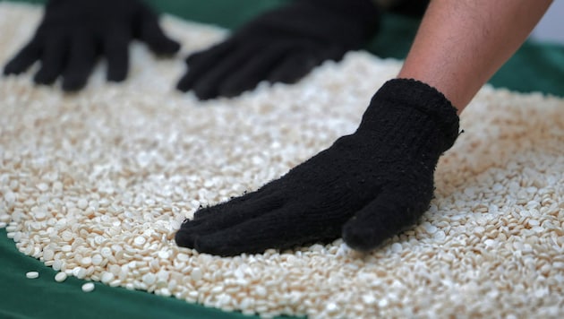 Im Handel mit Captagon-Tabletten wurden die Haftstrafen für acht Beteiligte jetzt massiv erhöht (Symbolbild). (Bild: APA/AFP/Fayez Nureldine (Symbolbild))