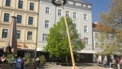 Der Baum in Wiener Neustadt drohte auf Gastgarten zu fallen. (Bild: Presseteam FF Wiener Neustadt)