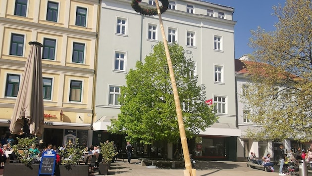 Der Baum in Wiener Neustadt drohte auf Gastgarten zu fallen. (Bild: Presseteam FF Wiener Neustadt)