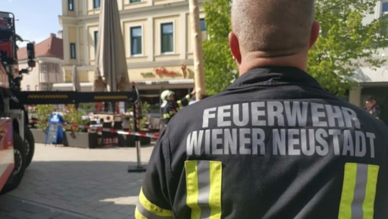 Die Feuerwehr konnte den Maibaum in Wiener Neustadt wieder aufrichten und sicher verankern. (Bild: Presseteam d. FF Wr. Neustadt)