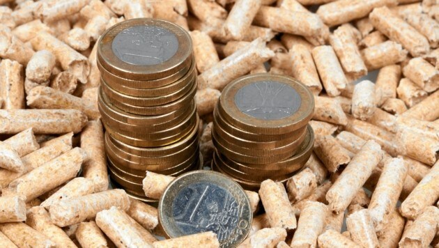 Holzpellets und Euro - Preise um 46 Prozent gestiegen (Bild: Ernst Weingartner / picturedesk.com)
