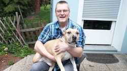 Robert Köck und „Gnocchi“ sind bereits ein Herz und eine Seele. Der Staffordshire Terrier bekam nach zehn Jahren im Kremser Tierheim bei der Familie in Teesdorf ein neues Zuhause. (Bild: Judt Reinhard)
