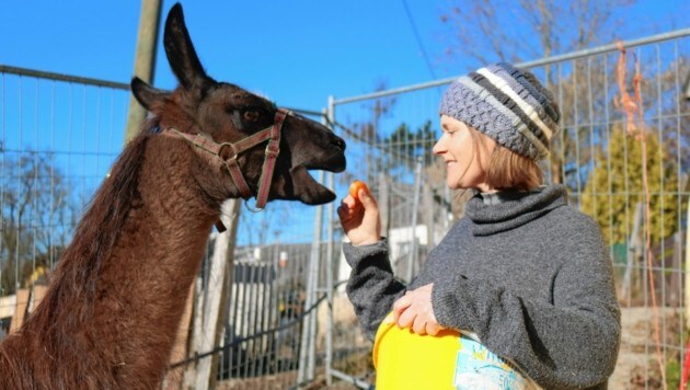 Willemine Van Ee leitet den Melcherhof in Grafenstein und wird beim 1. Klagenfurter Tierschutztag über ihre Arbeit informieren. (Bild: Fischer Claudia)