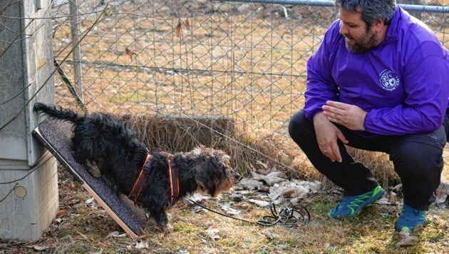 Ein lustiger Parcours für Hund und Herrl/Frauchen zum Ausprobieren ist aufgebaut. (Bild: RespekTiert)